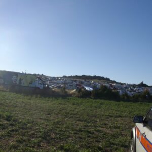 IMGP5533