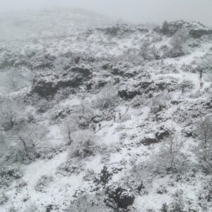 Image11