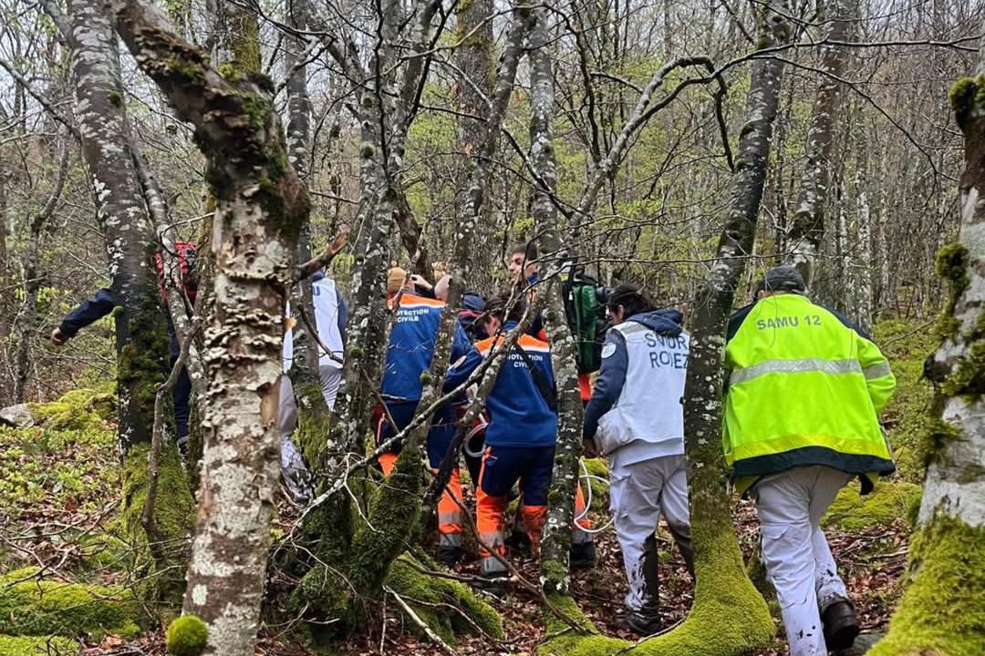 bénévoles marchent à travers arbres